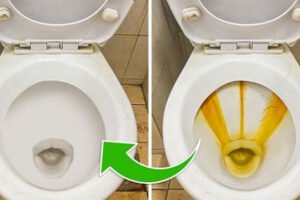 Cách tẩy vết ố vàng trên bồn cầu