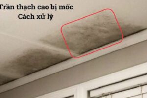 Cách xử lý trần thạch cao bị mốc sạch, an toàn, hiệu quả 2026