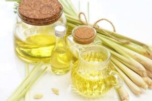 Cách làm tinh dầu sả Đơn giản hiệu quả nhất