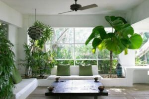 Hướng dẫn cách chăm sóc cây cảnh trong nhà đơn giản hiệu quả