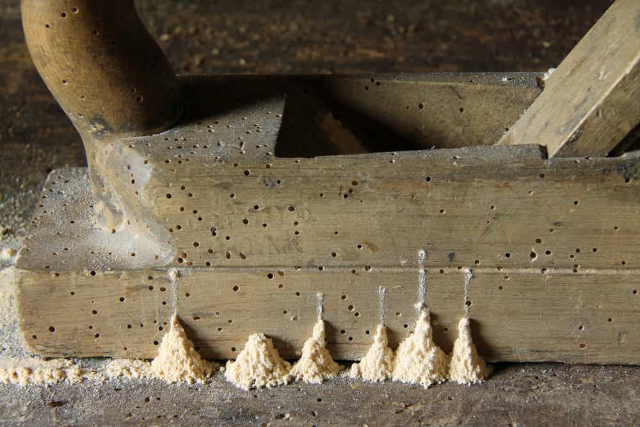 Cách xử lý mọt gỗ