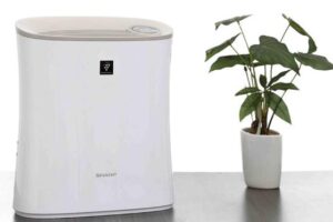 Hướng dẫn vệ sinh máy lọc không khí sharp chi tiết nhất