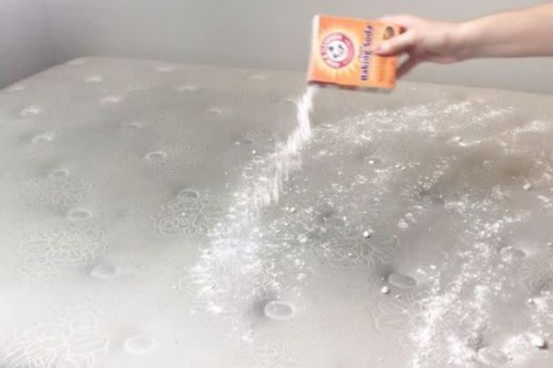Dùng khăn giấy và baking soda (cho nước tiểu mới)
