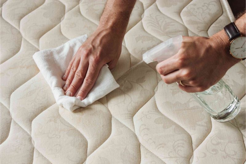 Cách Khử Mùi Nước Tiểu Chó Mèo Trên Nệm Hiệu Quả Tại Nhà