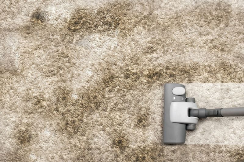 Cách Xử Lý Tình Trạng Thảm Trải Sàn Bị Ngập