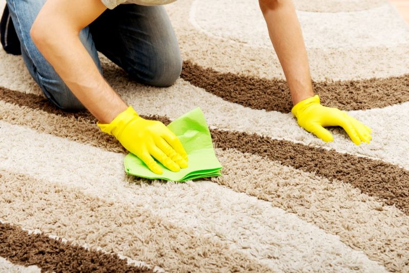 Vì Sao Cần Xử Lý Vết Dầu Mỡ Trên Thảm Càng Sớm Càng Tốt