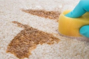 Cách làm sạch vết nôn trớ trên thảm nhanh gọn, khử mùi triệt để