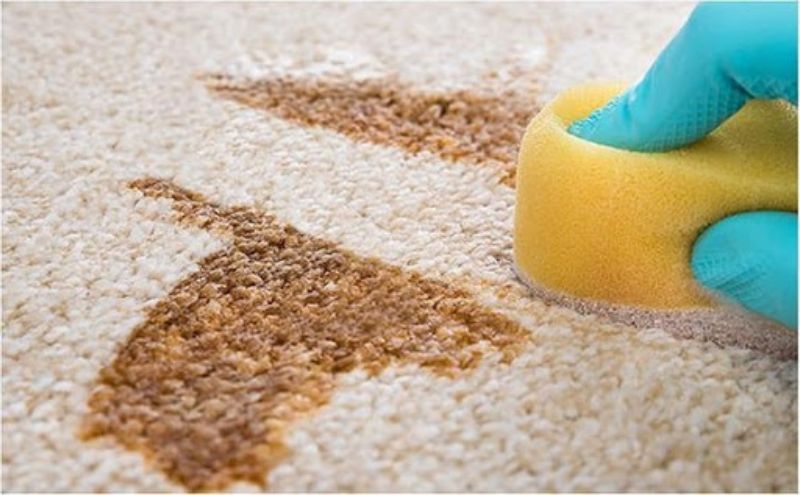 cách làm sạch vết nôn trớ trên thảm