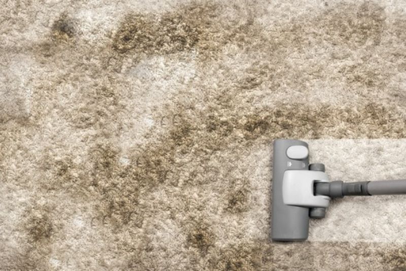Cách tẩy vết ố trên thảm