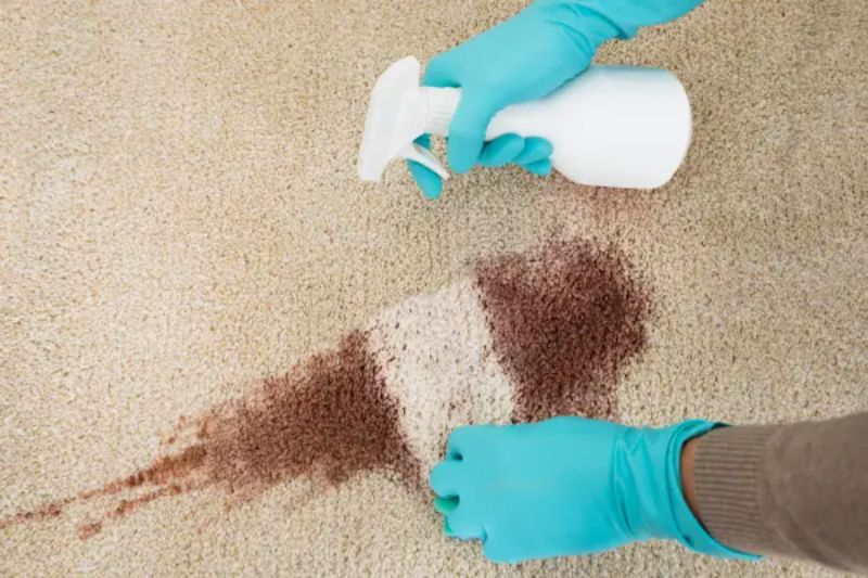 Các Cách Tẩy Vết Rượu Vang Trên Thảm
