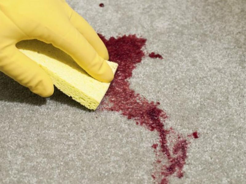 Những Lưu Ý Khi Làm Sạch Vết Máu Dính Trên Thảm