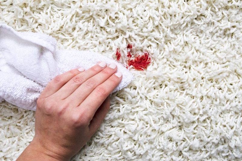 6 Cách Tẩy Vết Máu Dính Trên Thảm Hiệu Quả Tại Nhà
